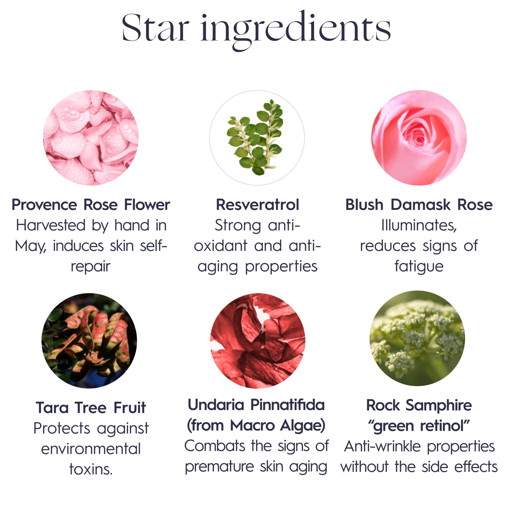 Verdilab Lift & Glow Rose Serum key ingredients—rose-powered serum for hydration and elasticity