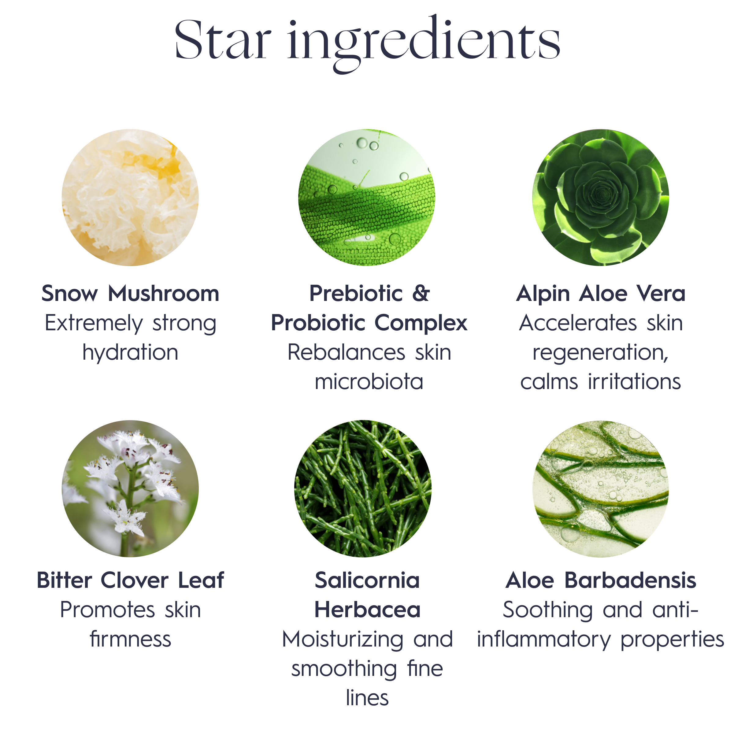 Verdilab Detox Mask key ingredients—natural replenishing mask with ImmunatuRNA® and marine actives.