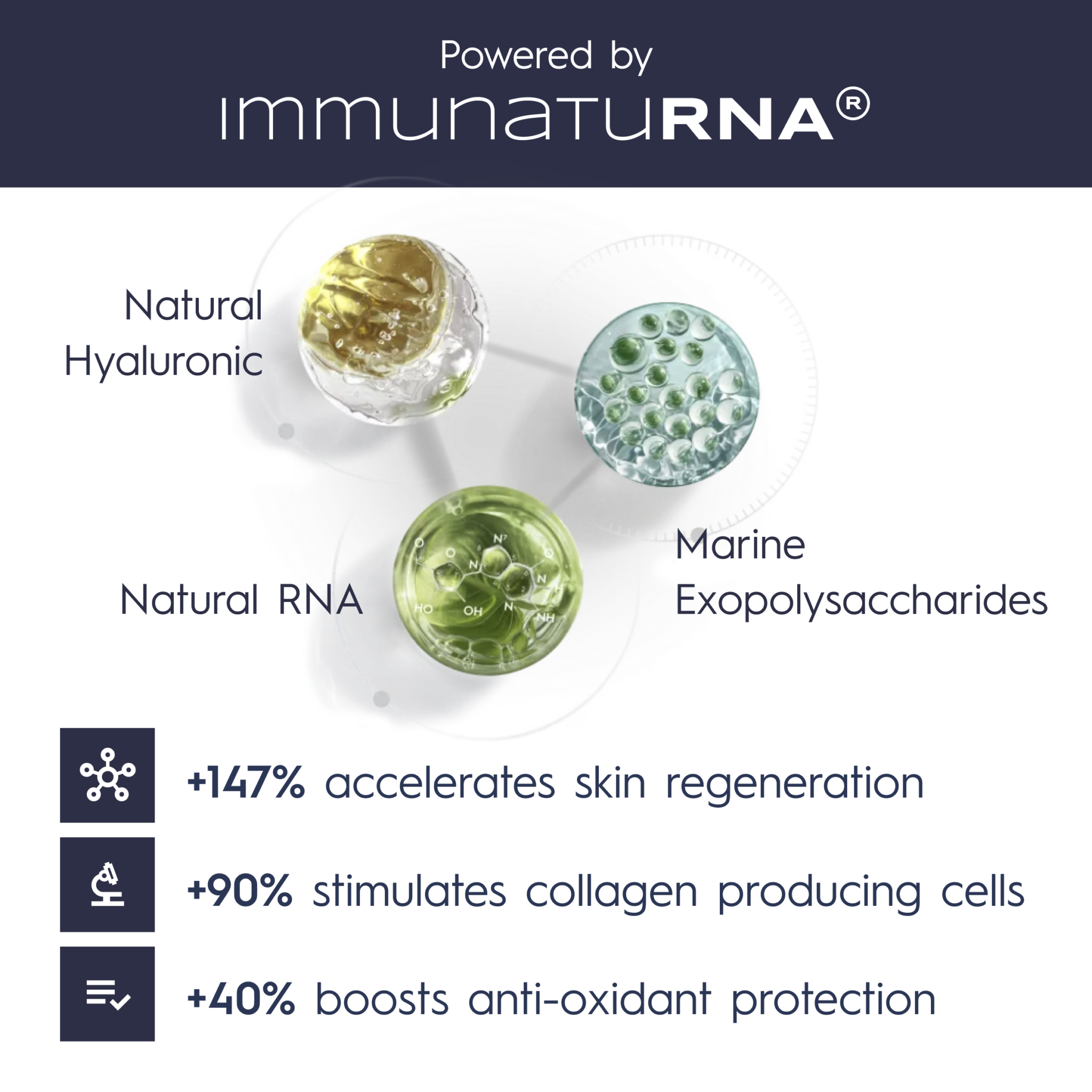 Verdilab Vitamin C Cellular Serum—ImmunatuRNA®-powered serum for antioxidant protection.