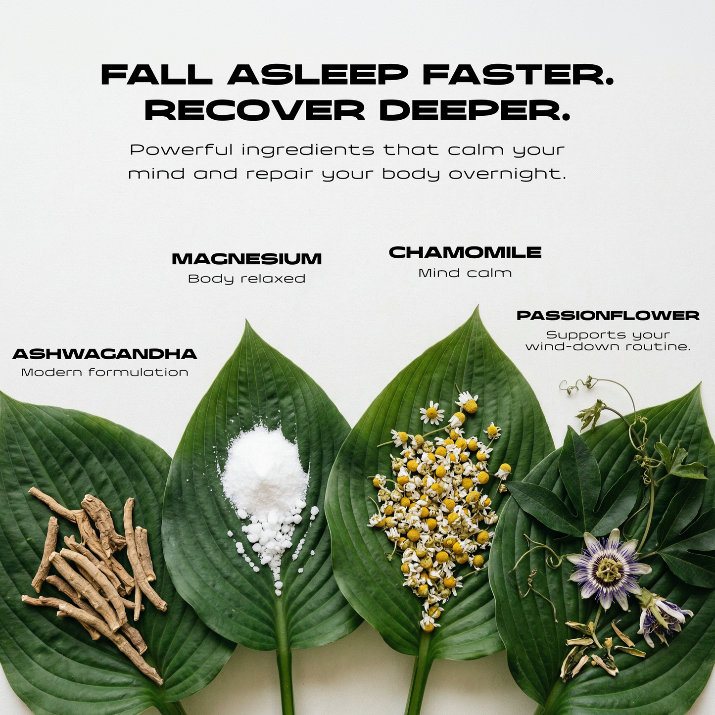 Promotional graphic for a supplement featuring four green leaves arranged side by side with labeled ingredients: ashwagandha roots, white powder, chamomile flowers, and purple passionflower blossoms. Above the leaves, text reads 'FALL ASLEEP FASTER. RECOVER DEEPER'