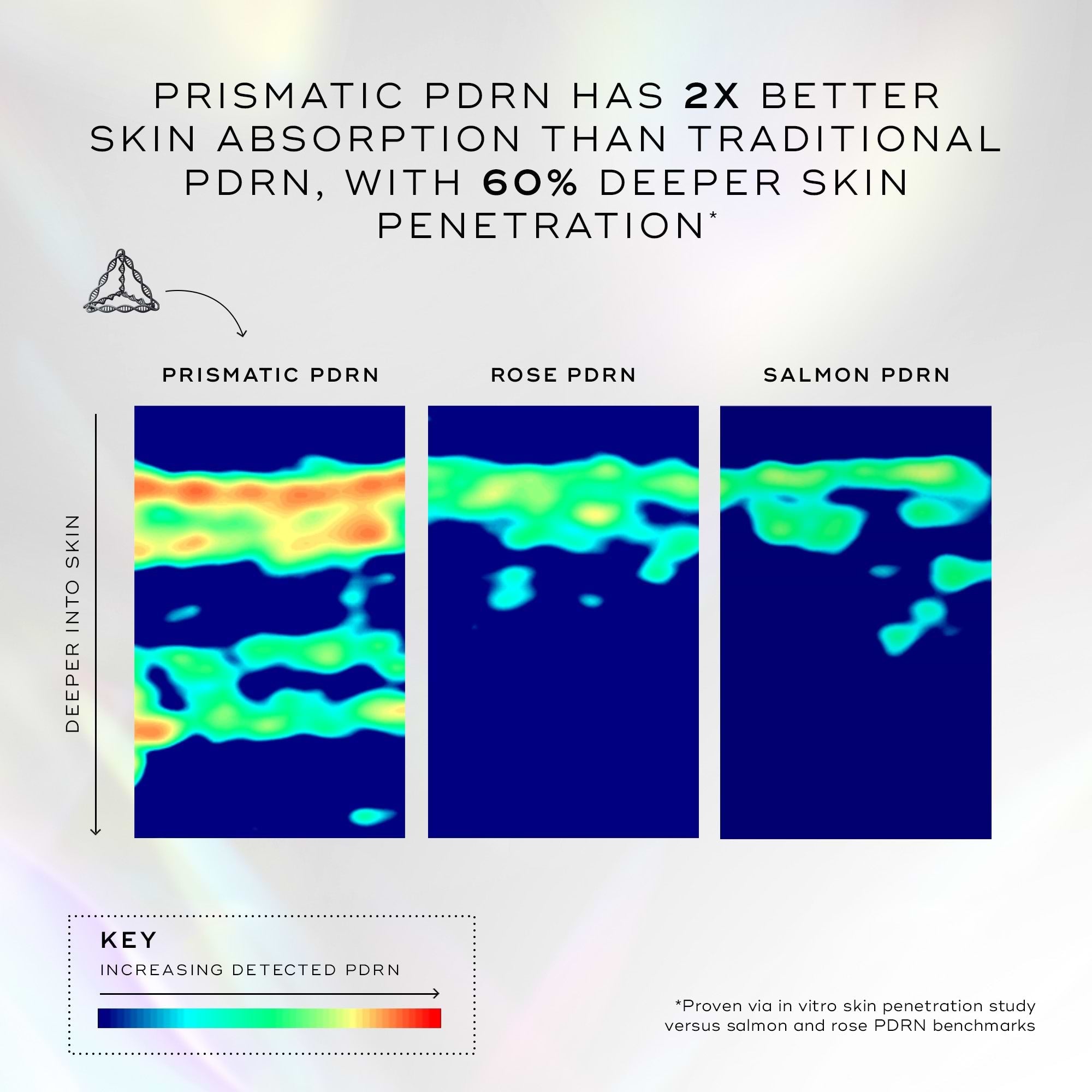 Comparison of prismatic PDRN, rose PDRN, and salmon PDRN with color gradient indicating skin penetration depth.